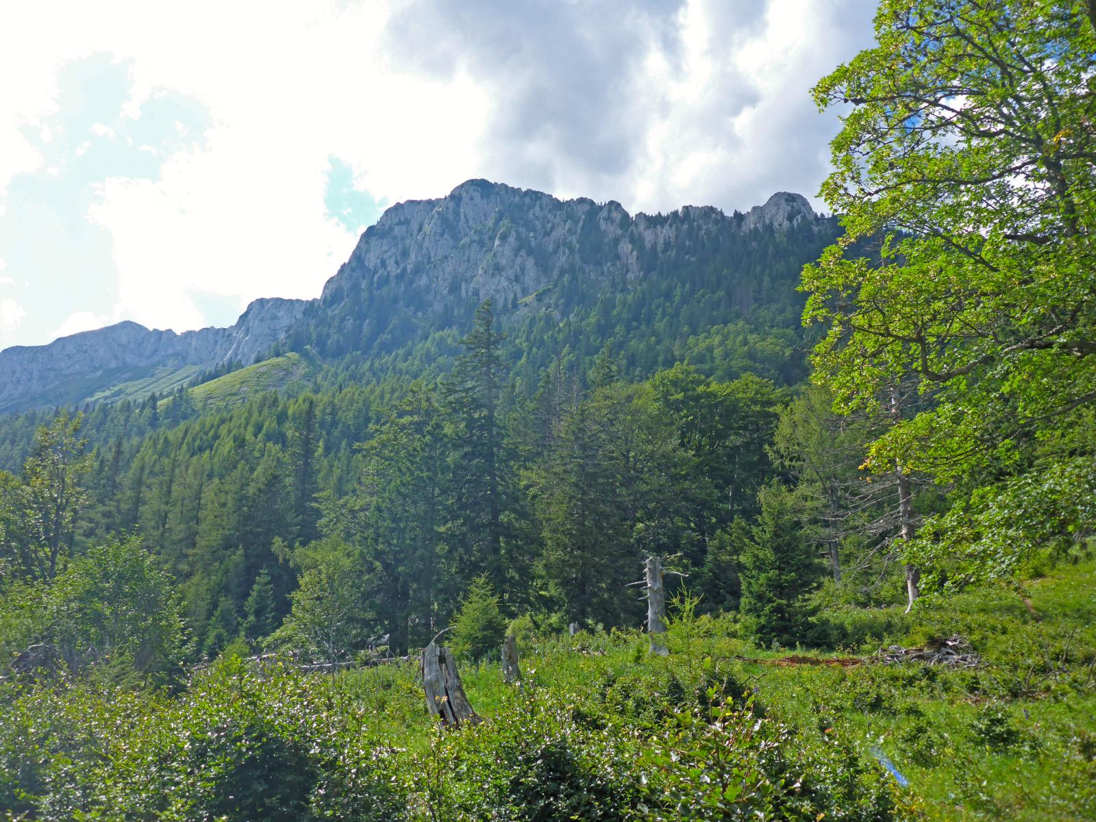 Feistringstein (240 Bildaufrufe)