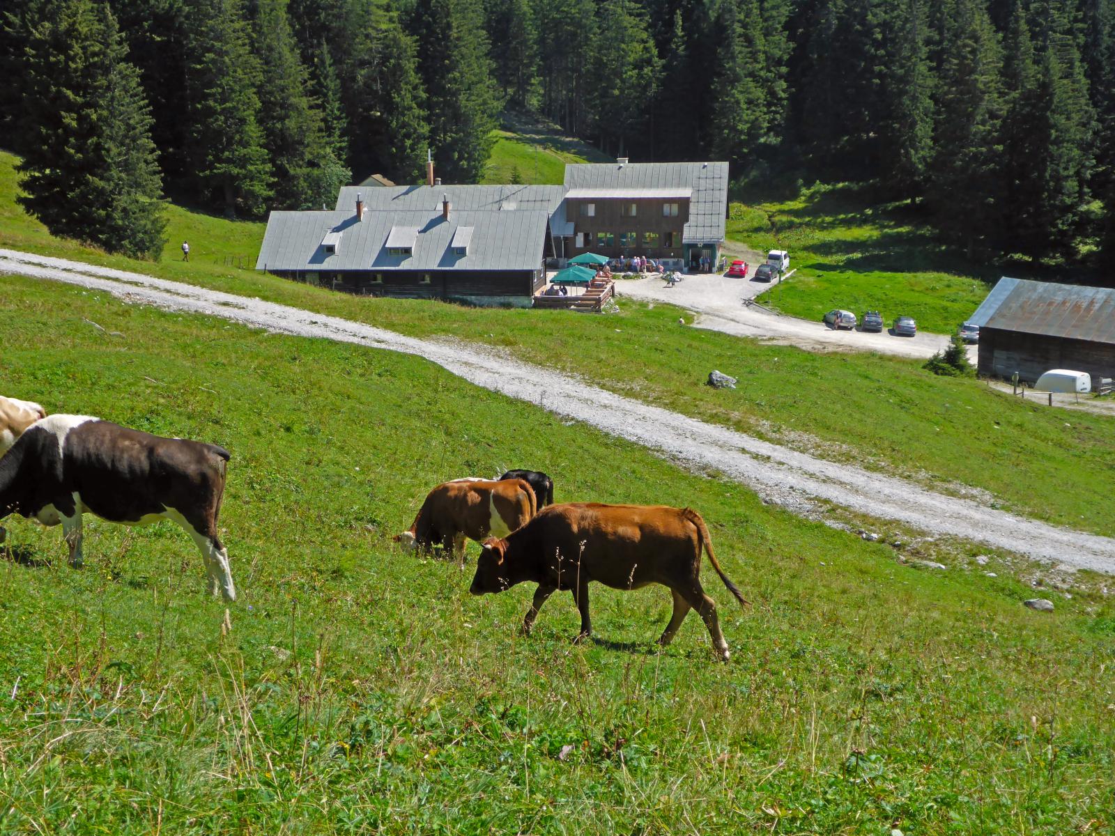 Lahngangkogel, Sparafeld (207 Bildaufrufe)