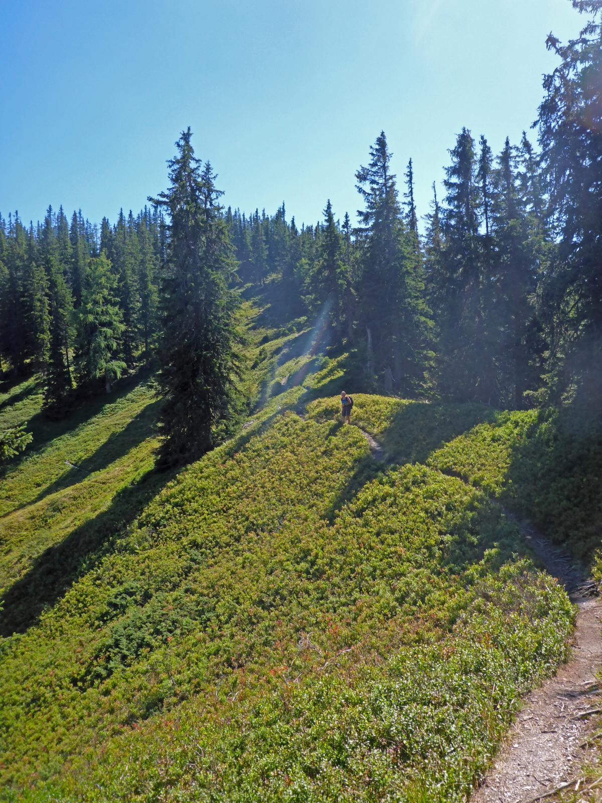 Lahngangkogel, Sparafeld (239 Bildaufrufe)