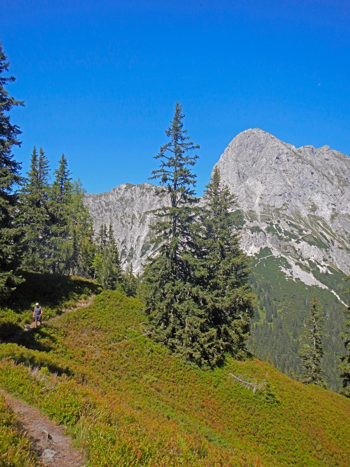 Lahngangkogel, Sparafeld (249 Bildaufrufe)