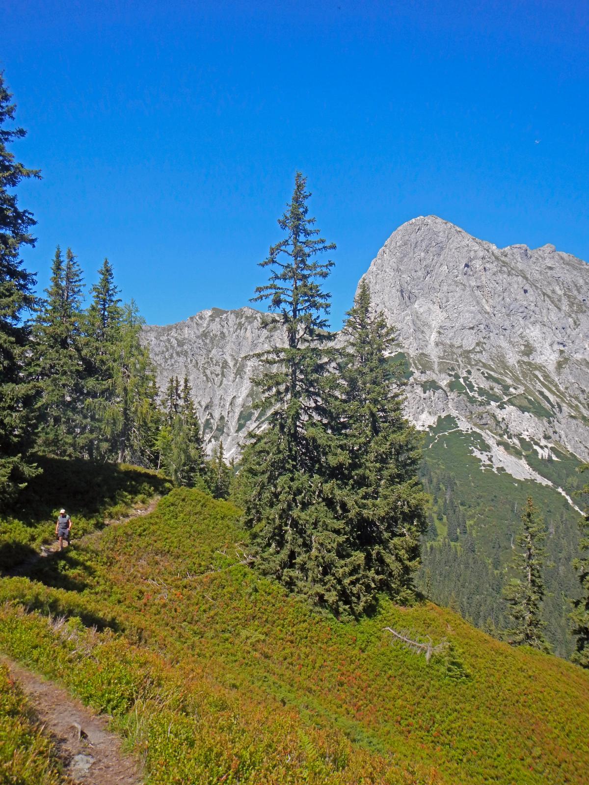 Lahngangkogel, Sparafeld (237 Bildaufrufe)