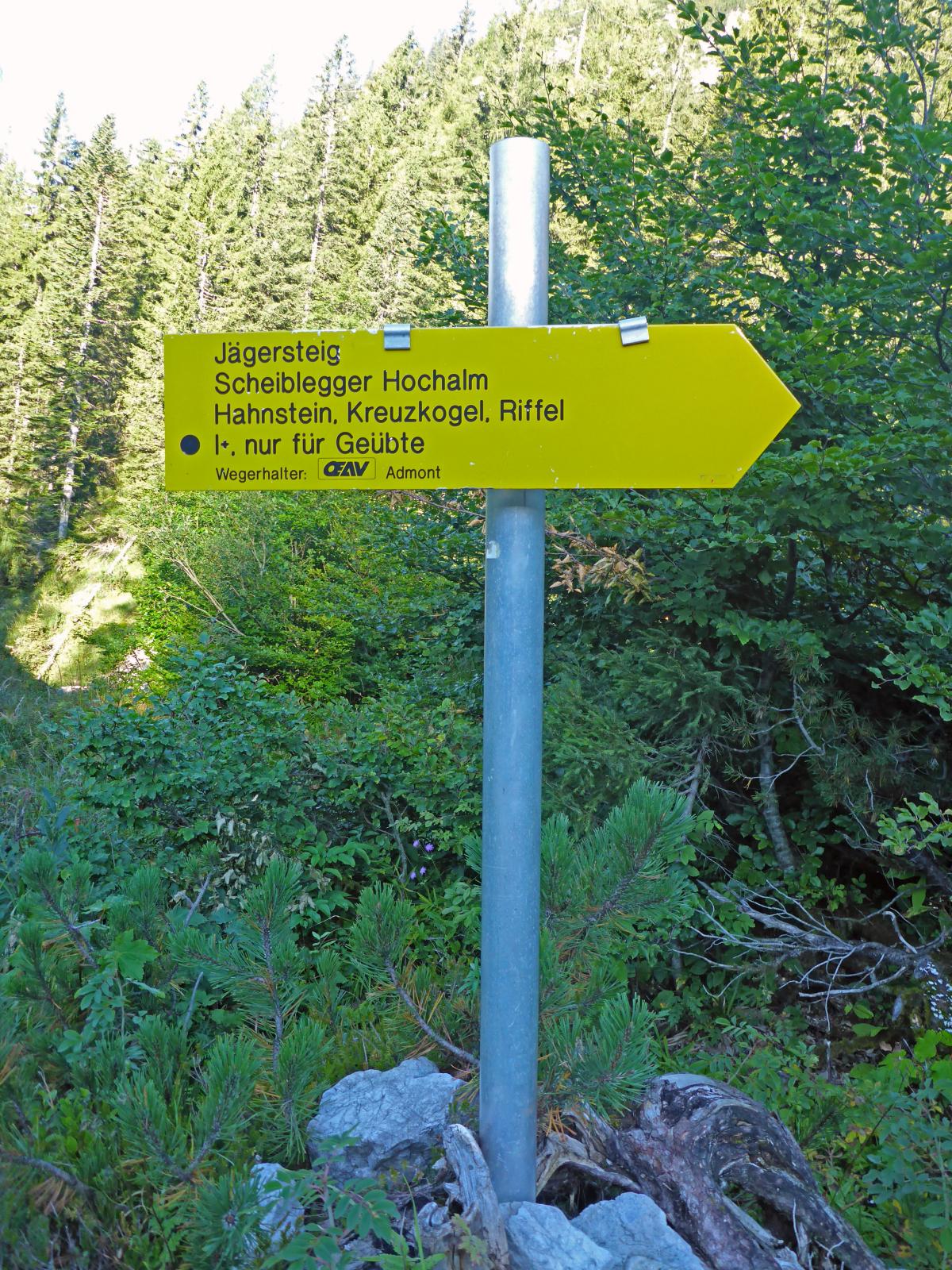 Lahngangkogel, Sparafeld (229 Bildaufrufe)