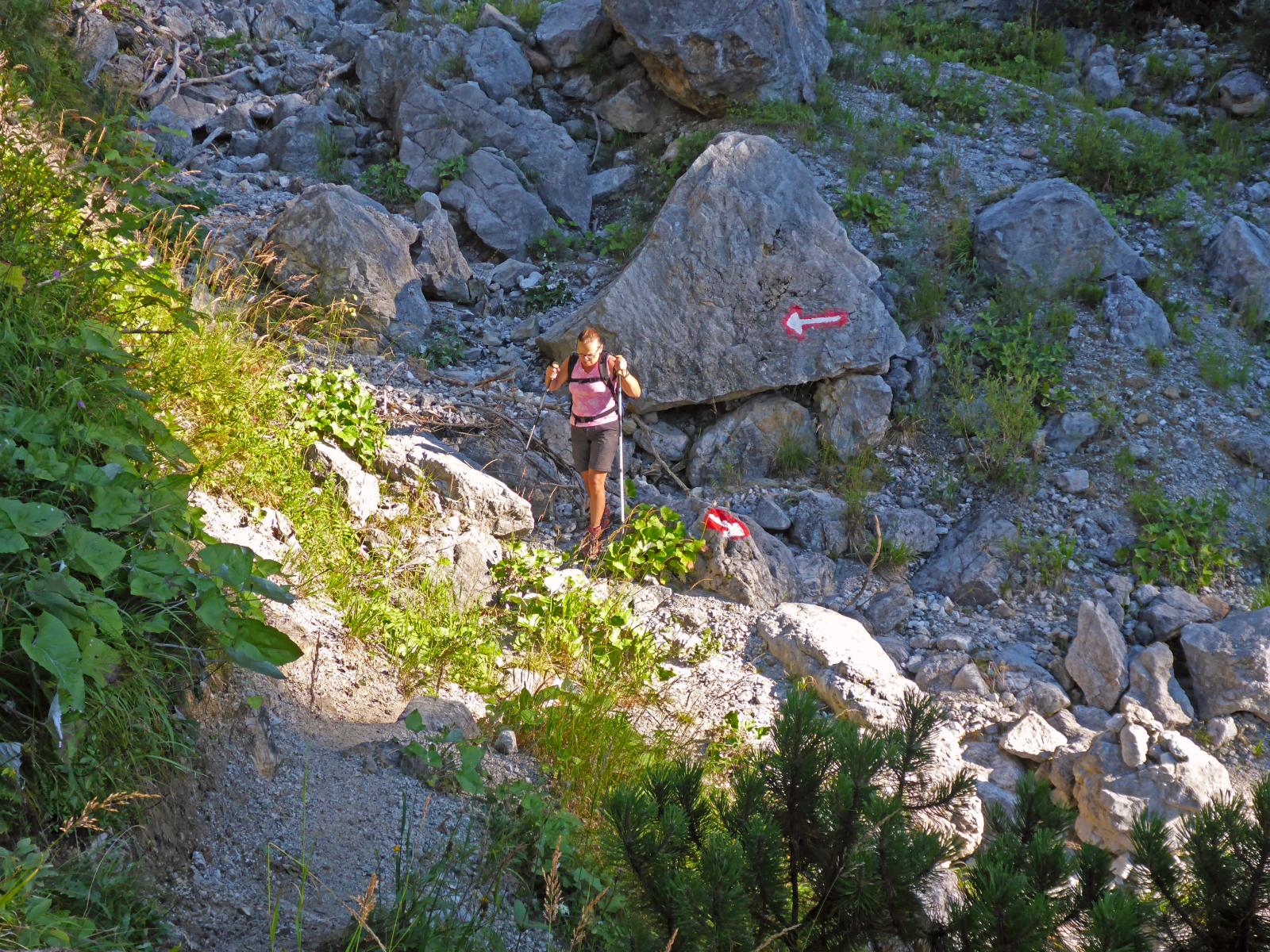 Lahngangkogel, Sparafeld (211 Bildaufrufe)
