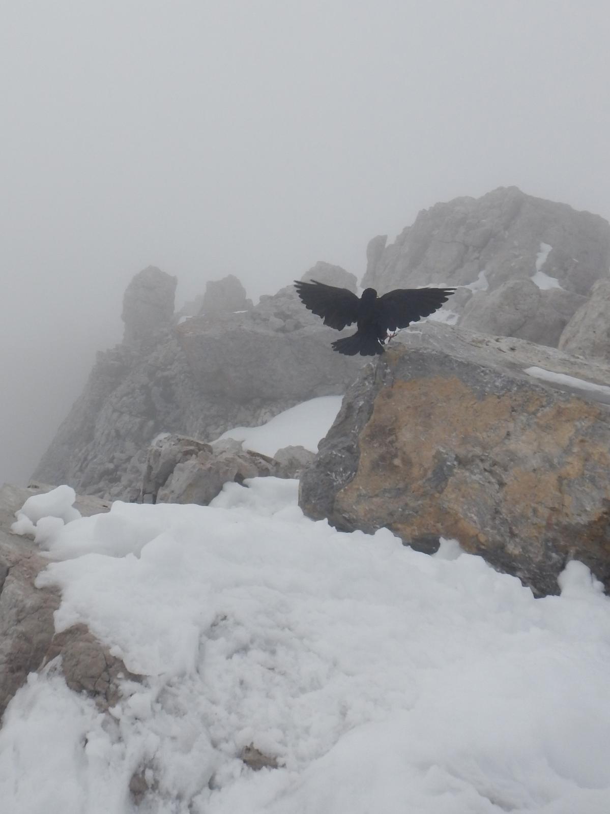 Hoher Dachstein (269 Bildaufrufe)