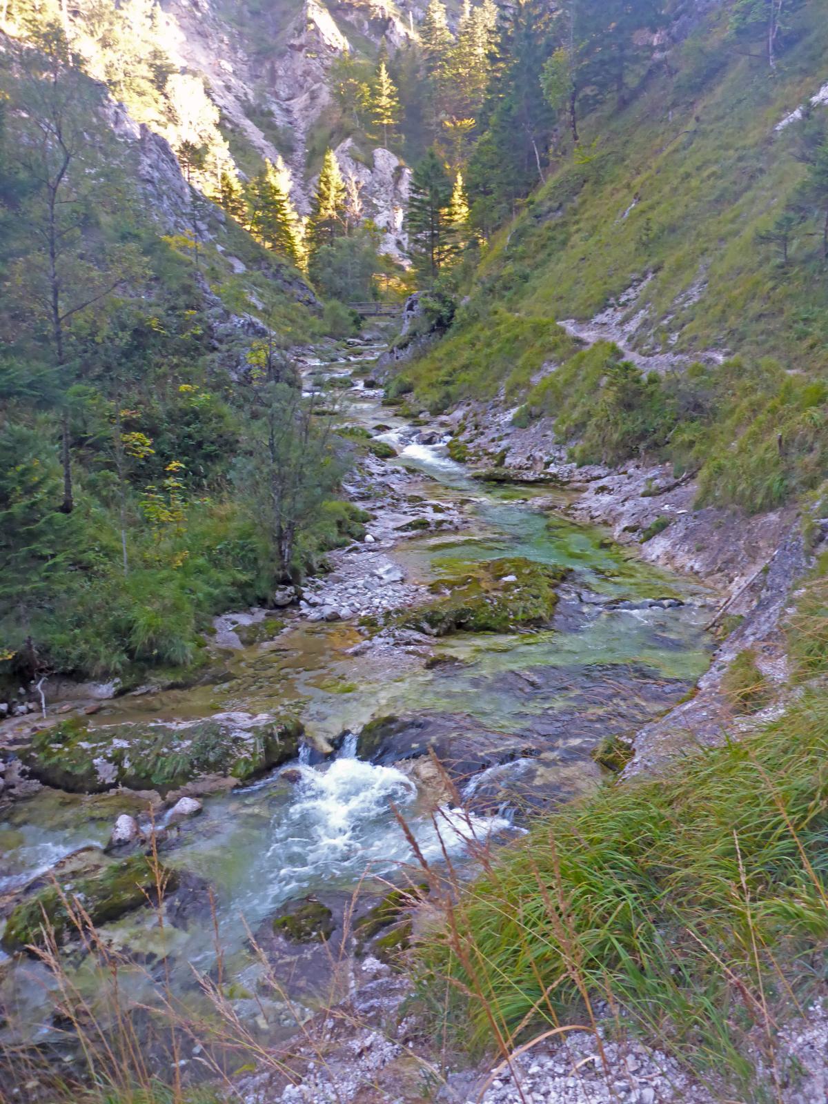 Gr.Ötscher (251 Bildaufrufe)