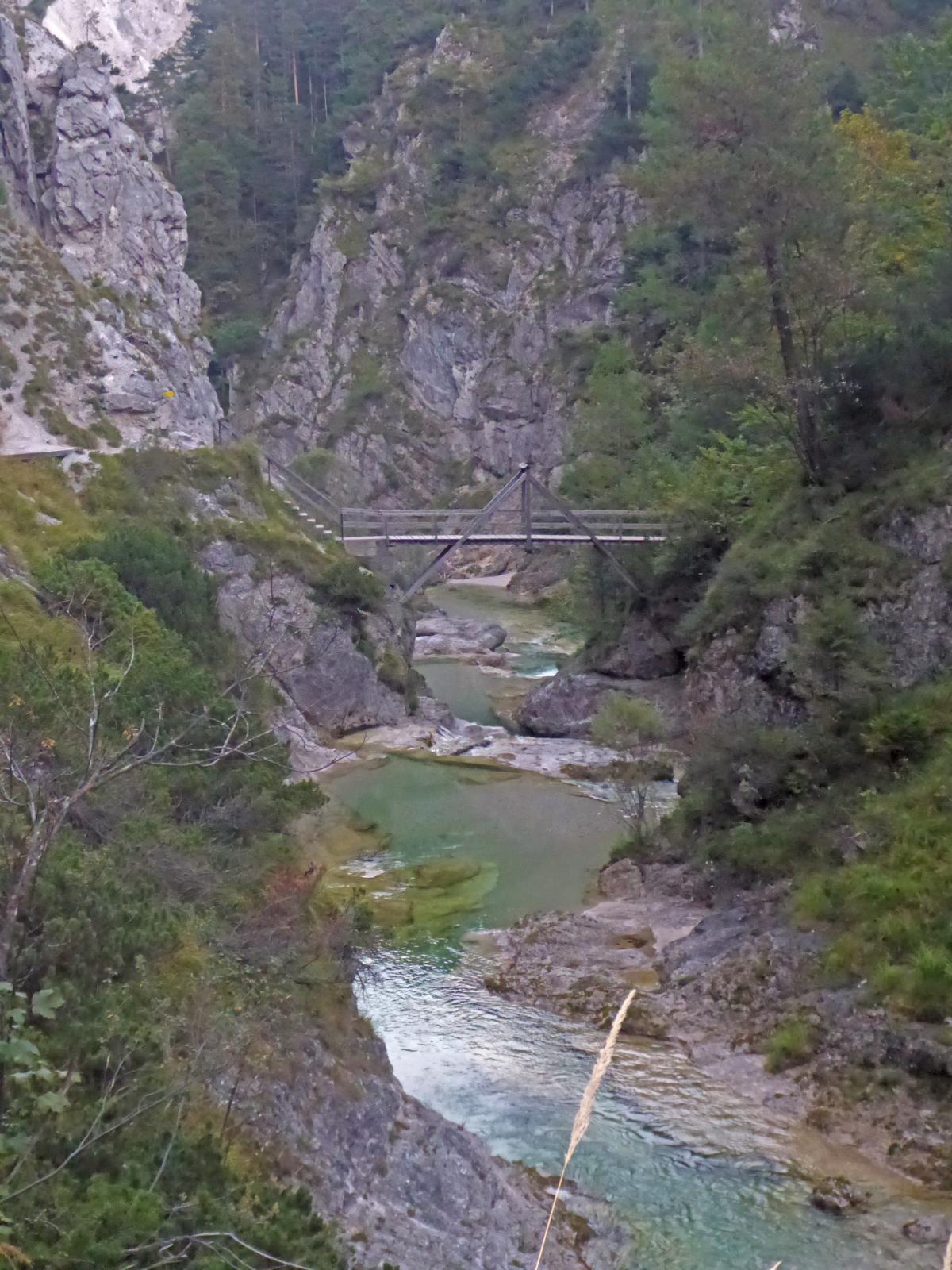 Gr.Ötscher (185 Bildaufrufe)