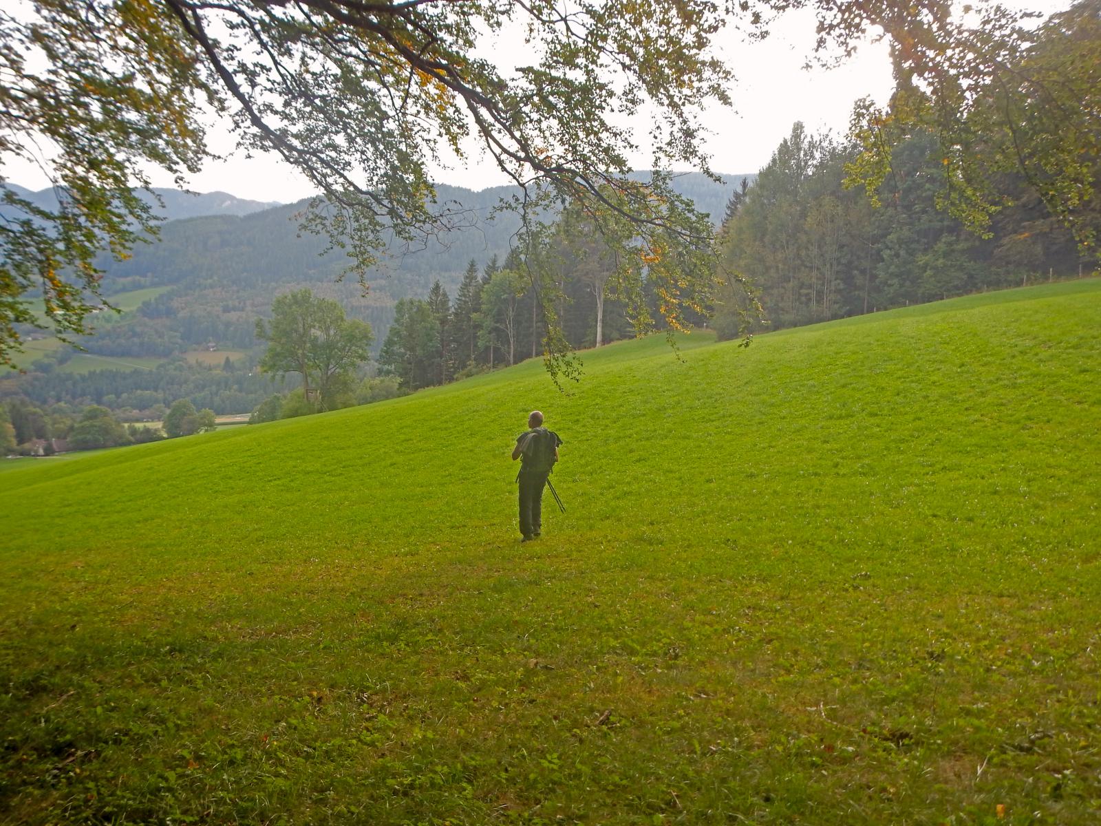 Preinerwand (198 Bildaufrufe)