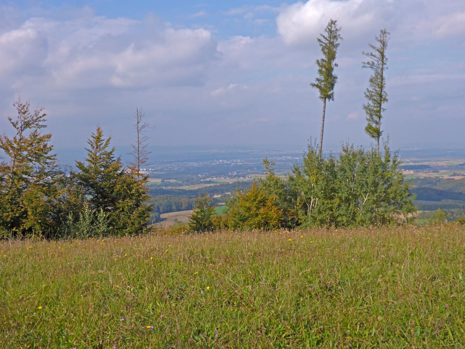 Steinwandleiten (144 Bildaufrufe)