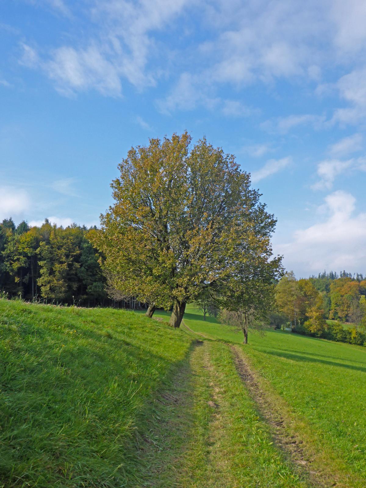 Steinwandleiten (136 Bildaufrufe)