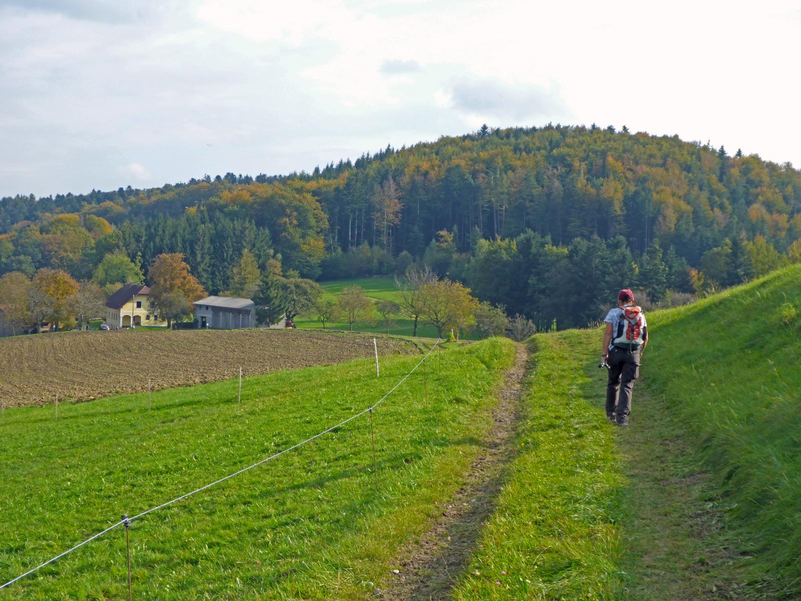 Steinwandleiten (138 Bildaufrufe)