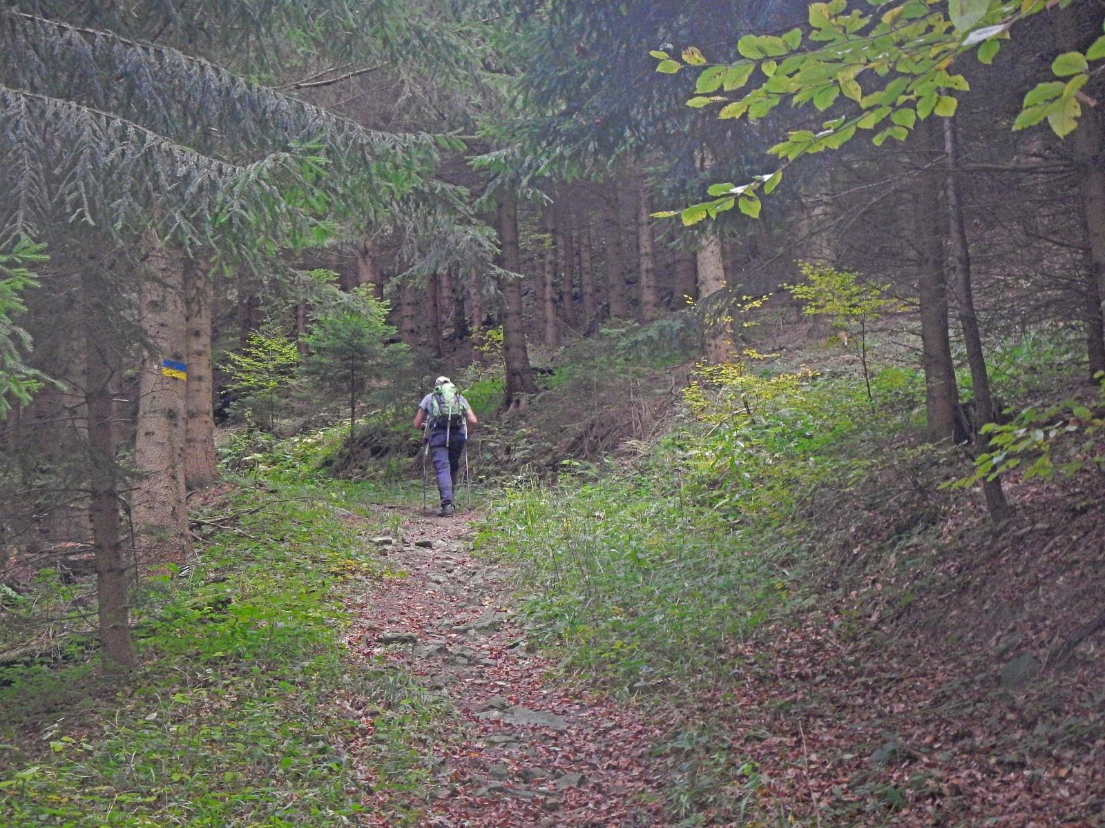 Steinwandleiten (170 Bildaufrufe)