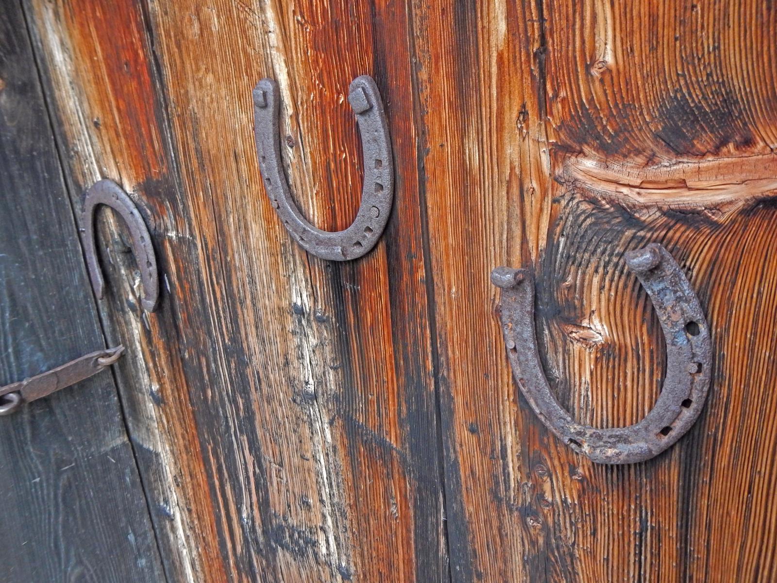 Hoch-Kalmberg, Gamsfeld (220 Bildaufrufe)