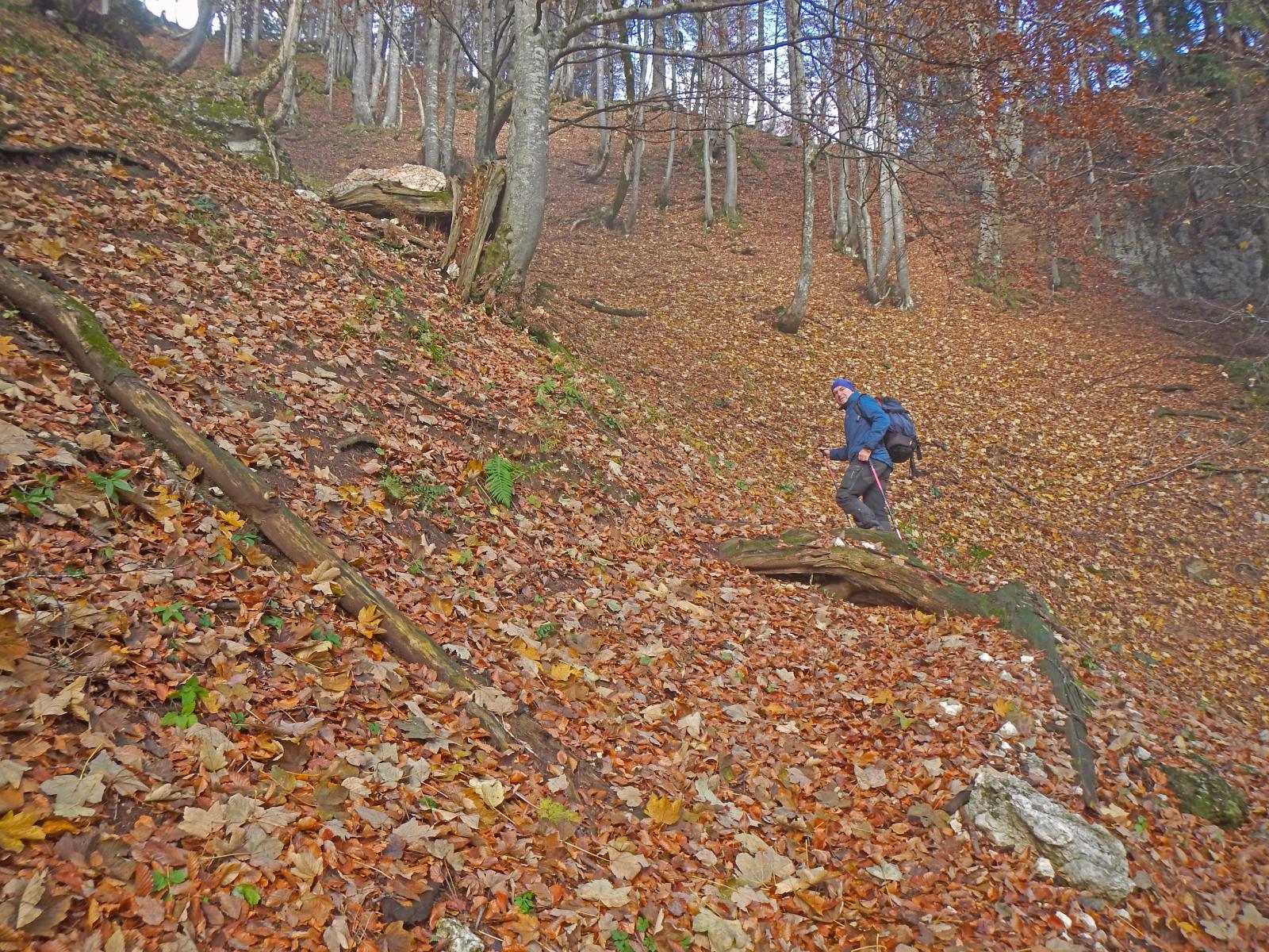 Hoch-Kalmberg, Gamsfeld (221 Bildaufrufe)