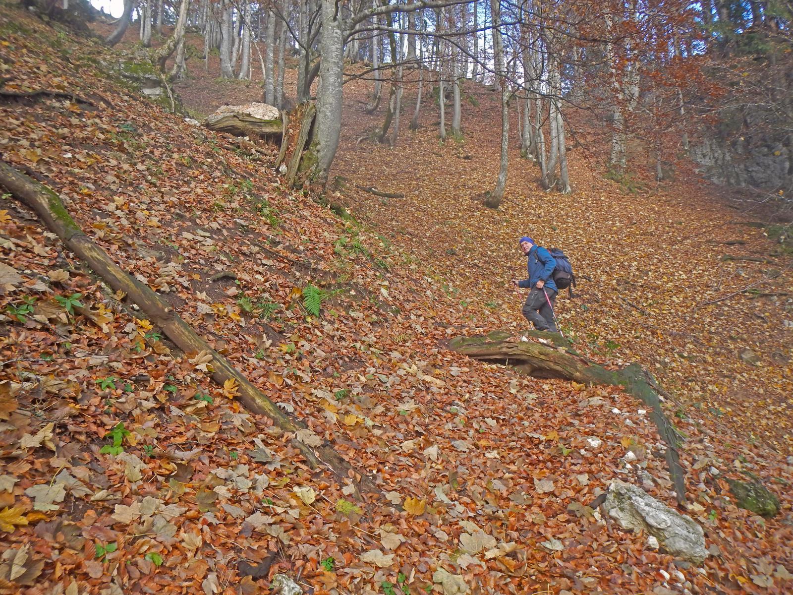 Hoch-Kalmberg, Gamsfeld (202 Bildaufrufe)