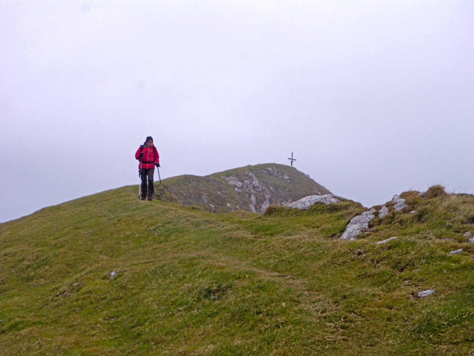 Hoch-Kalmberg, Gamsfeld (230 Bildaufrufe)