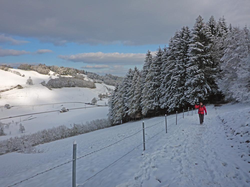 Kaiserkogel (166 Bildaufrufe)