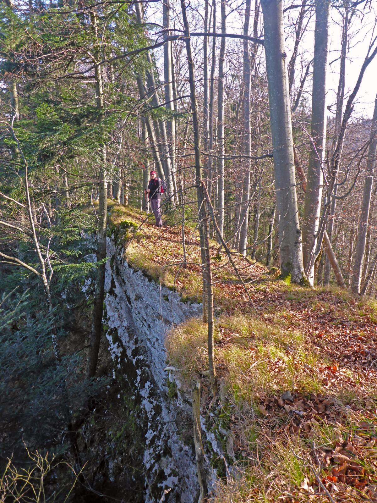 Kienstein (177 Bildaufrufe)