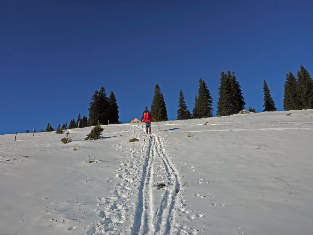 Tirolerkogel (212 Bildaufrufe)
