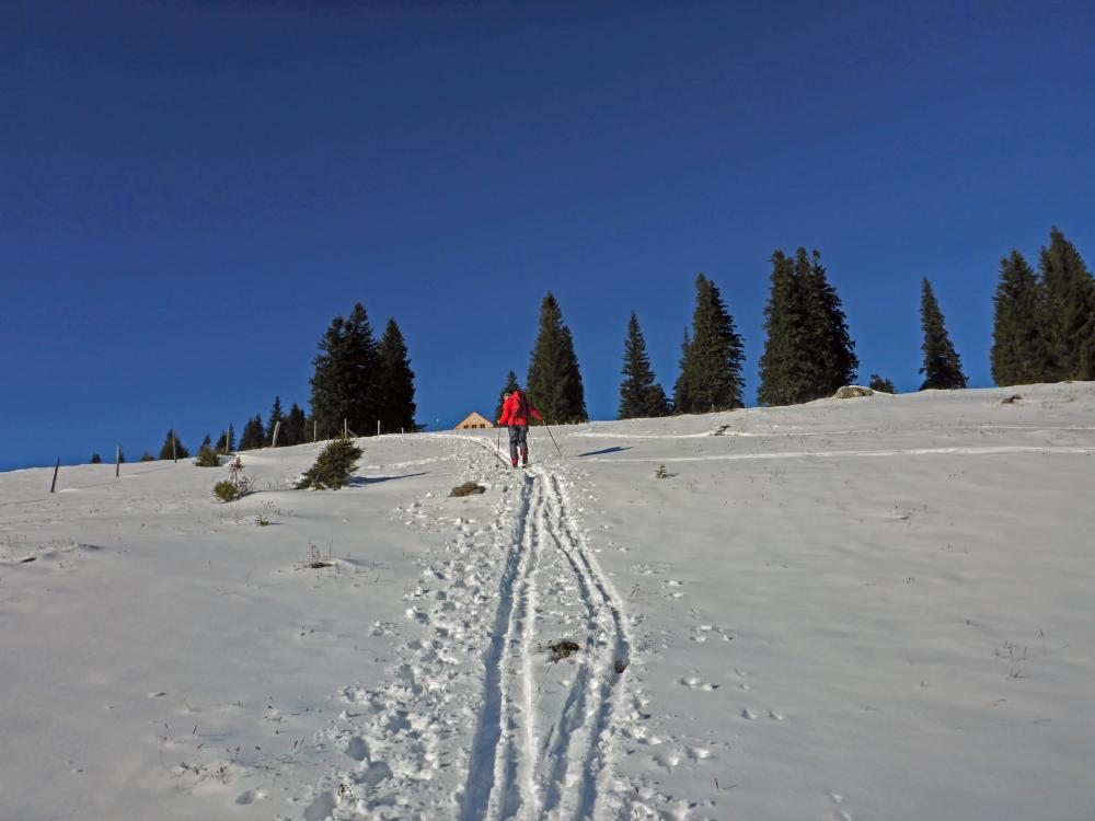 Tirolerkogel (200 Bildaufrufe)