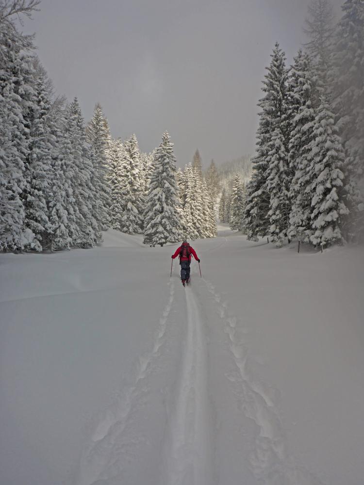 Bichleralpe (152 Bildaufrufe)