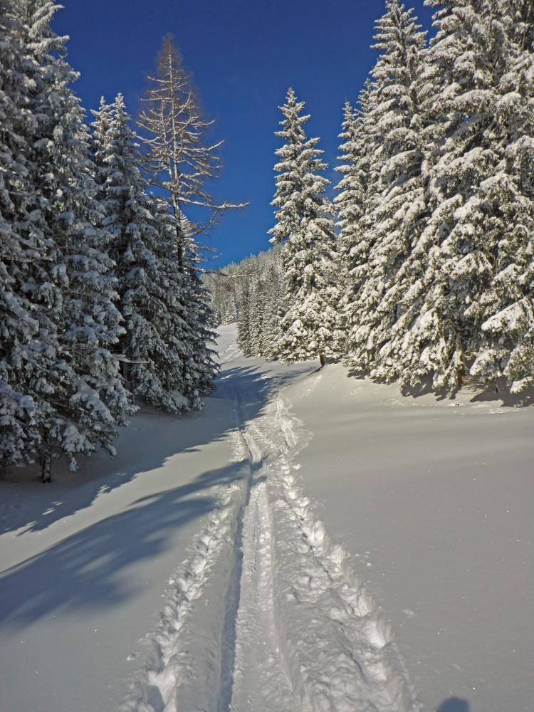 Bichleralpe (165 Bildaufrufe)
