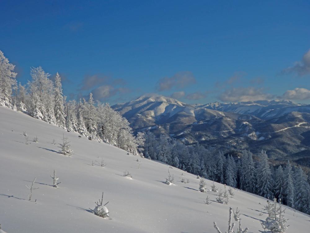 Bichleralpe (219 Bildaufrufe)