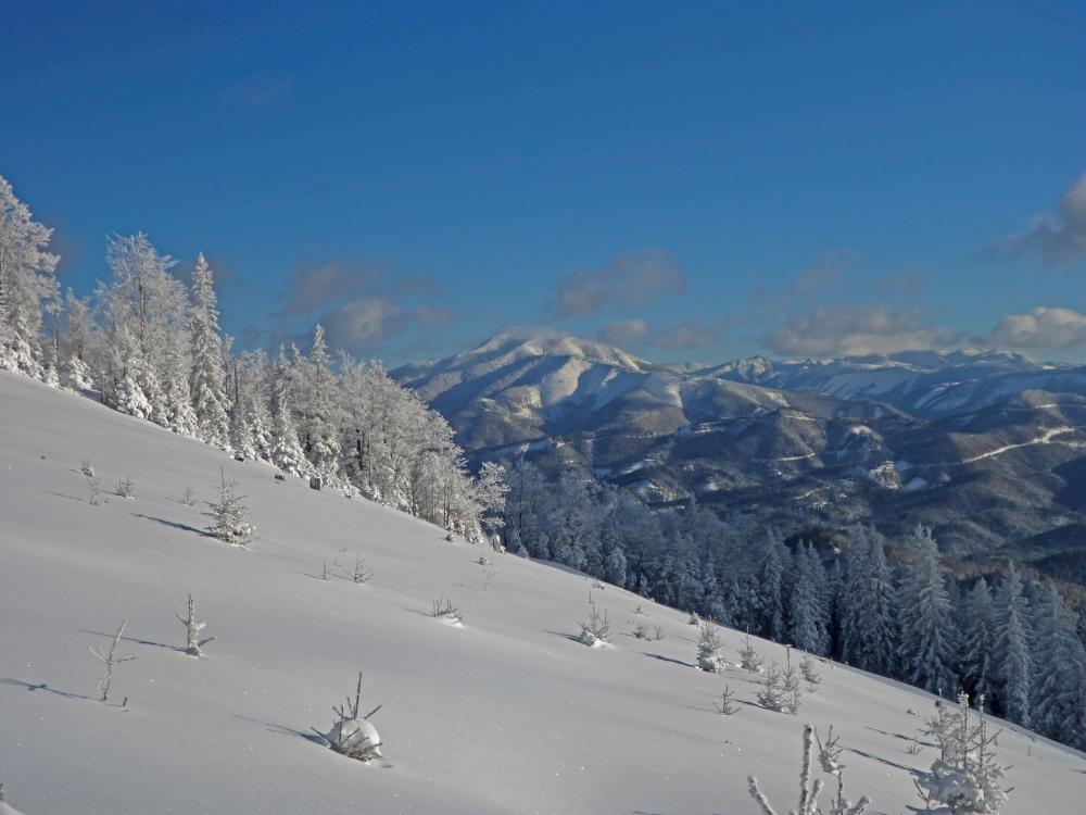 Bichleralpe (200 Bildaufrufe)