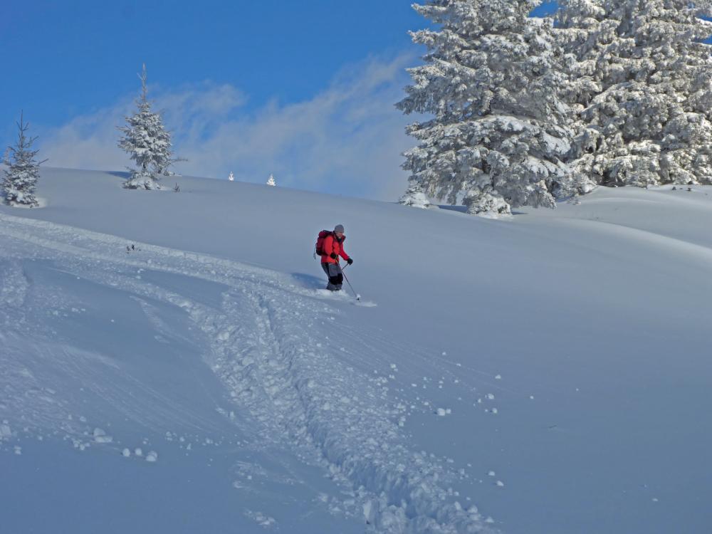 Bichleralpe (145 Bildaufrufe)