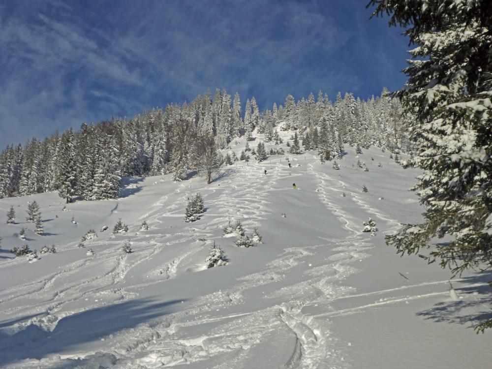 Bichleralpe (159 Bildaufrufe)