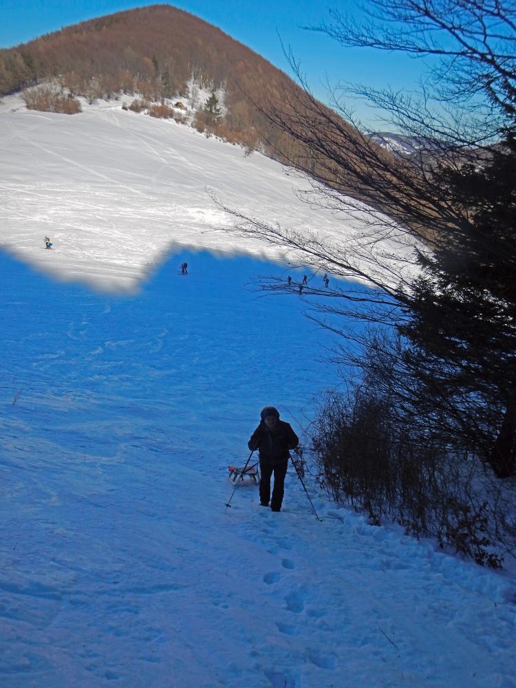 Muckenkogel (178 Bildaufrufe)