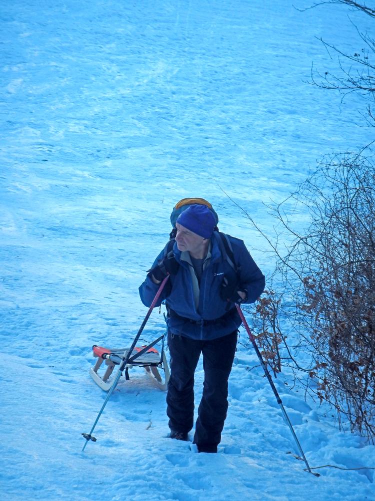 Muckenkogel (205 Bildaufrufe)