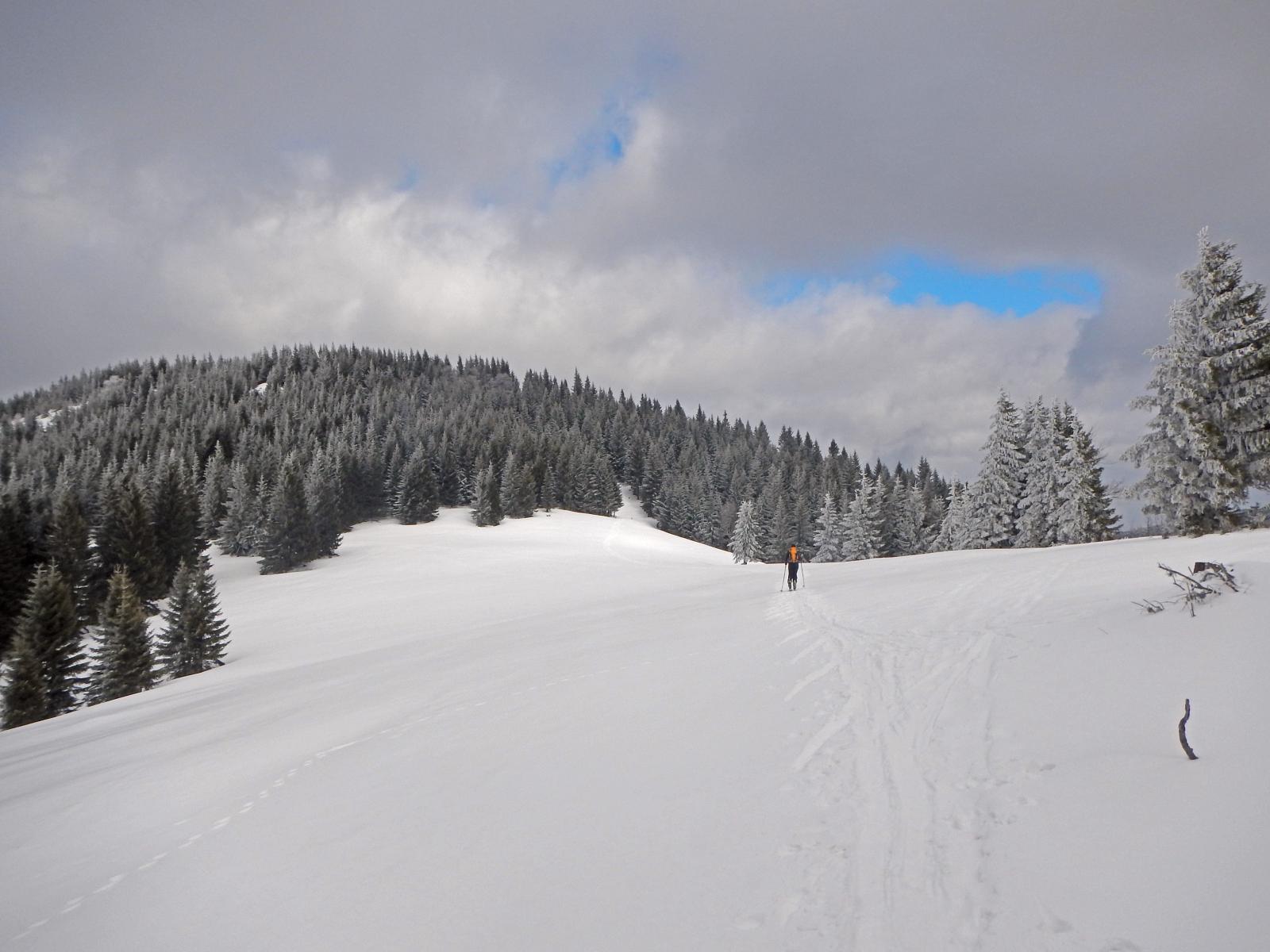 Hennesteck (165 Bildaufrufe)