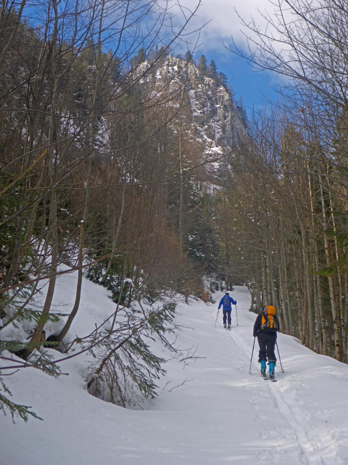 Gr.Maiereck (171 Bildaufrufe)