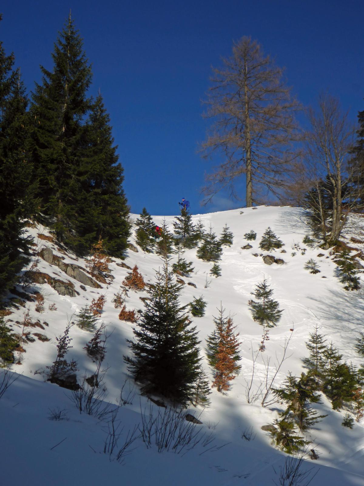 Gr.Maiereck (177 Bildaufrufe)