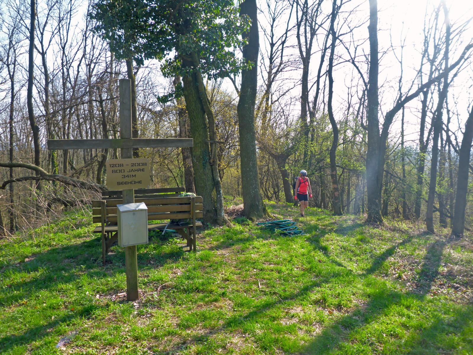 Grassberg (136 Bildaufrufe)