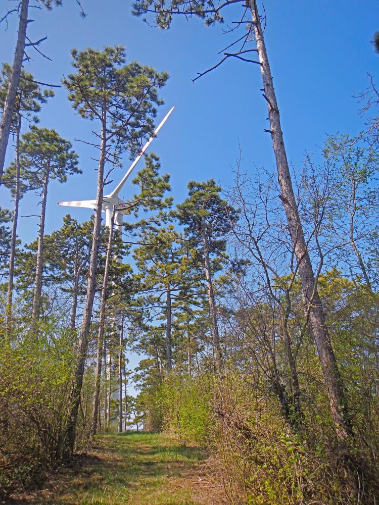 Schauerberg (152 Bildaufrufe)