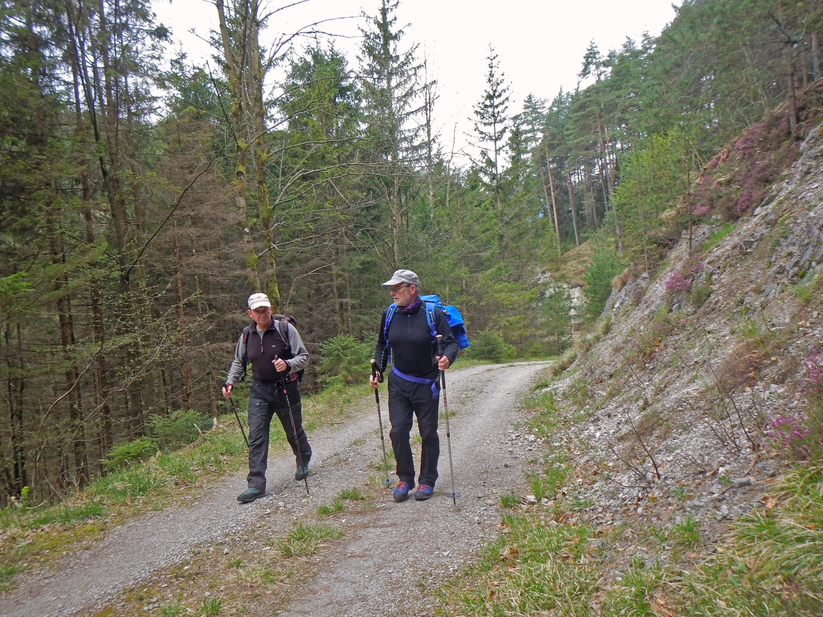 Türnitzer Höger, Tirolerkogel (214 Bildaufrufe)