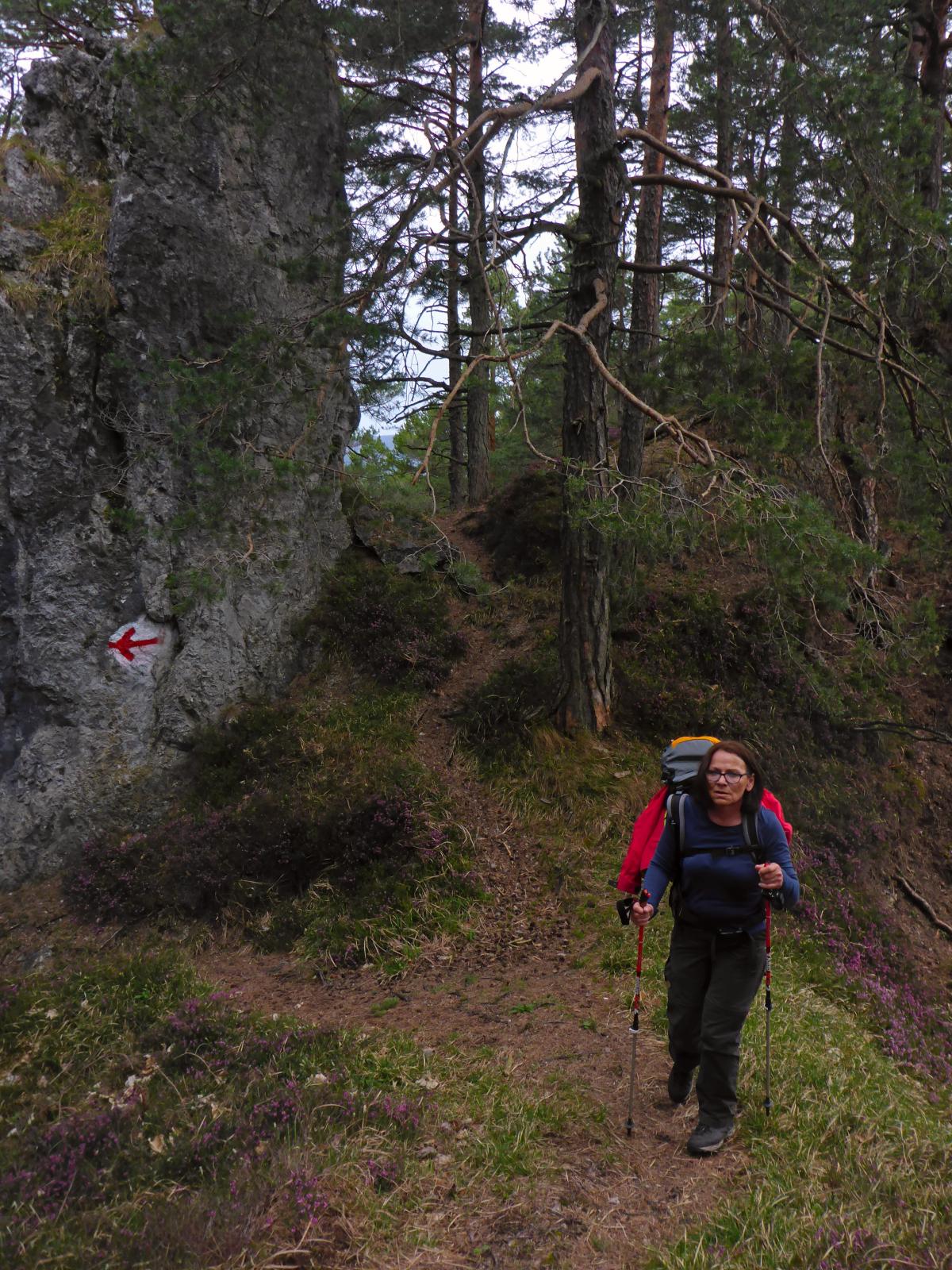 Türnitzer Höger, Tirolerkogel (156 Bildaufrufe)