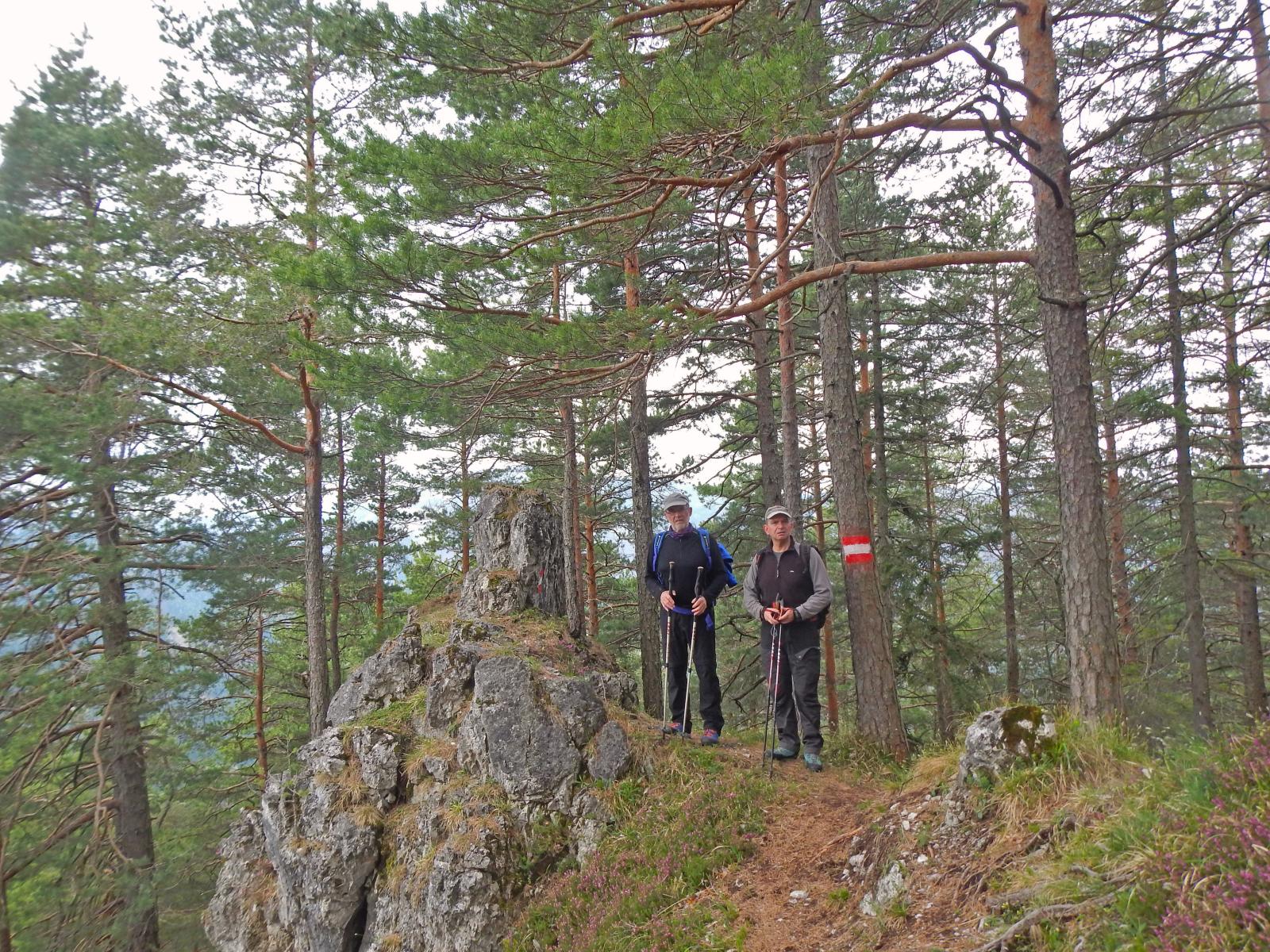 Türnitzer Höger, Tirolerkogel (168 Bildaufrufe)