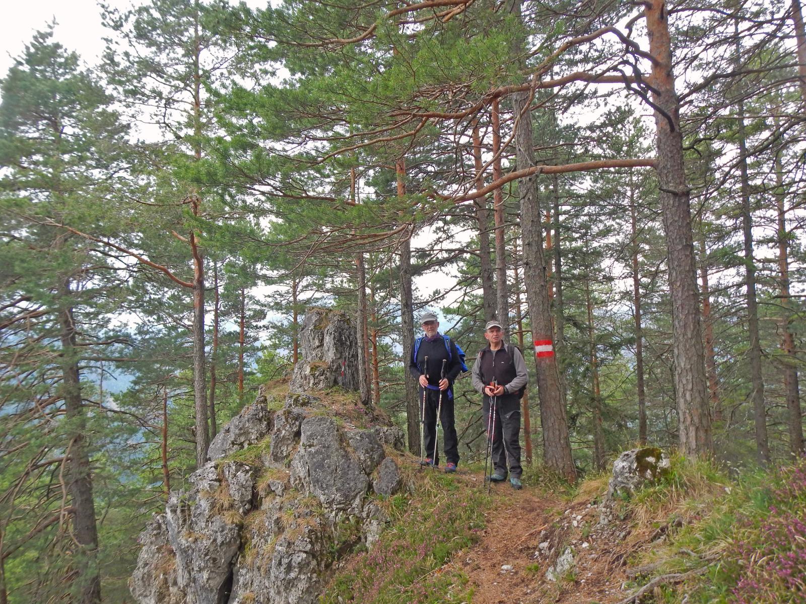 Türnitzer Höger, Tirolerkogel (159 Bildaufrufe)