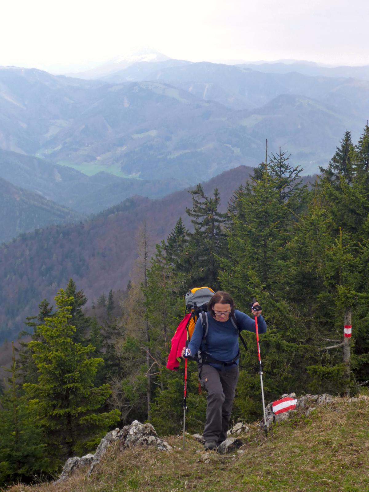 Türnitzer Höger, Tirolerkogel (161 Bildaufrufe)