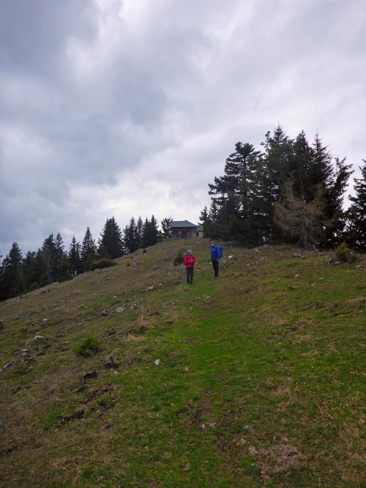 T&uuml;rnitzer H&ouml;ger, Tirolerkogel (176 Bildaufrufe)