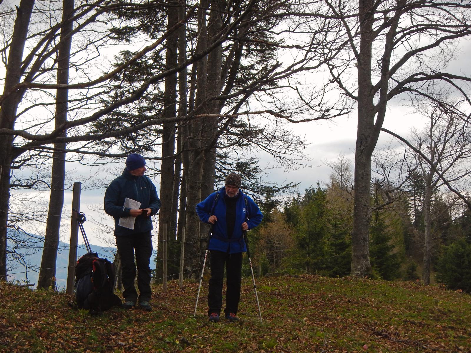 T&uuml;rnitzer H&ouml;ger, Tirolerkogel (260 Bildaufrufe)
