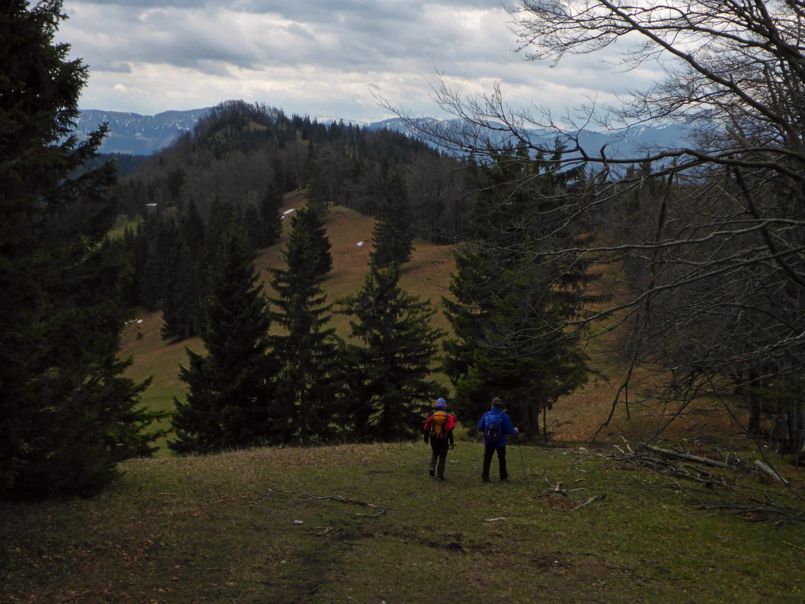 Türnitzer Höger, Tirolerkogel (202 Bildaufrufe)