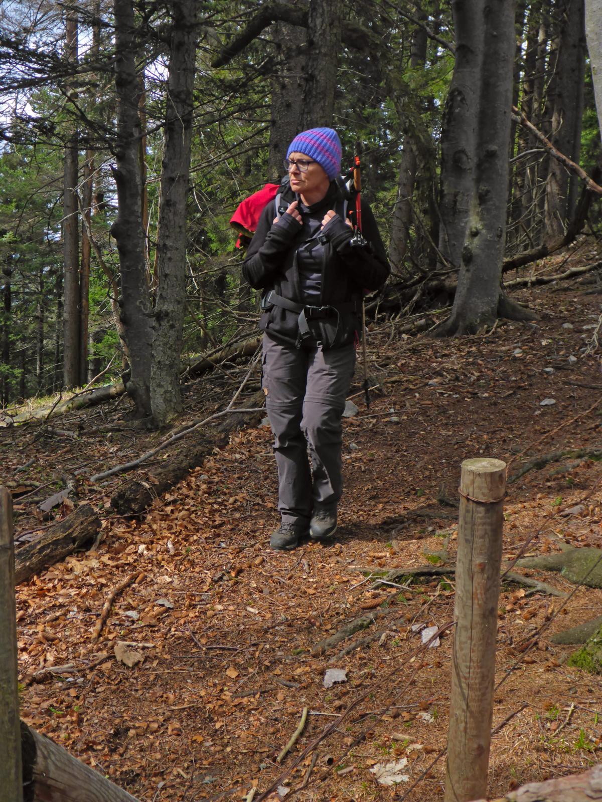 Türnitzer Höger, Tirolerkogel (208 Bildaufrufe)