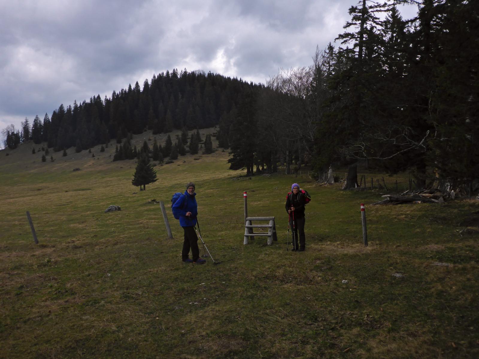 Türnitzer Höger, Tirolerkogel (214 Bildaufrufe)