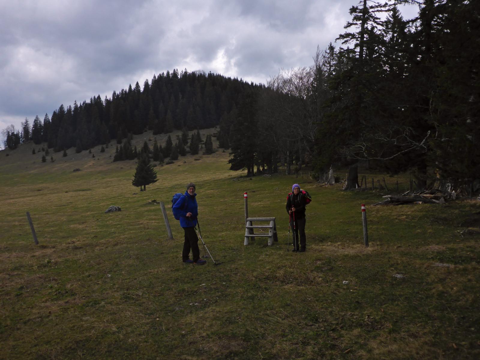 Türnitzer Höger, Tirolerkogel (202 Bildaufrufe)