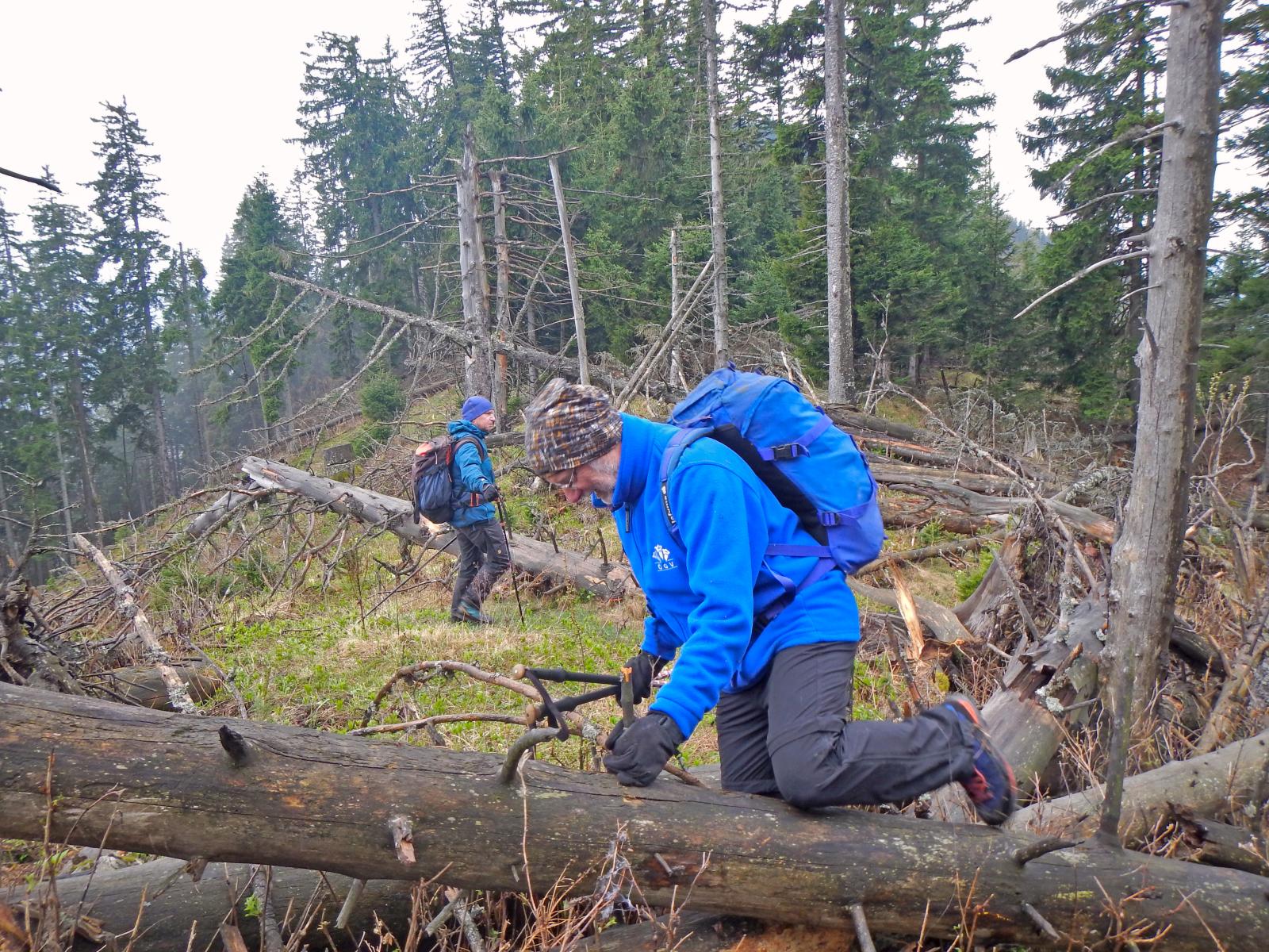 Türnitzer Höger, Tirolerkogel (218 Bildaufrufe)