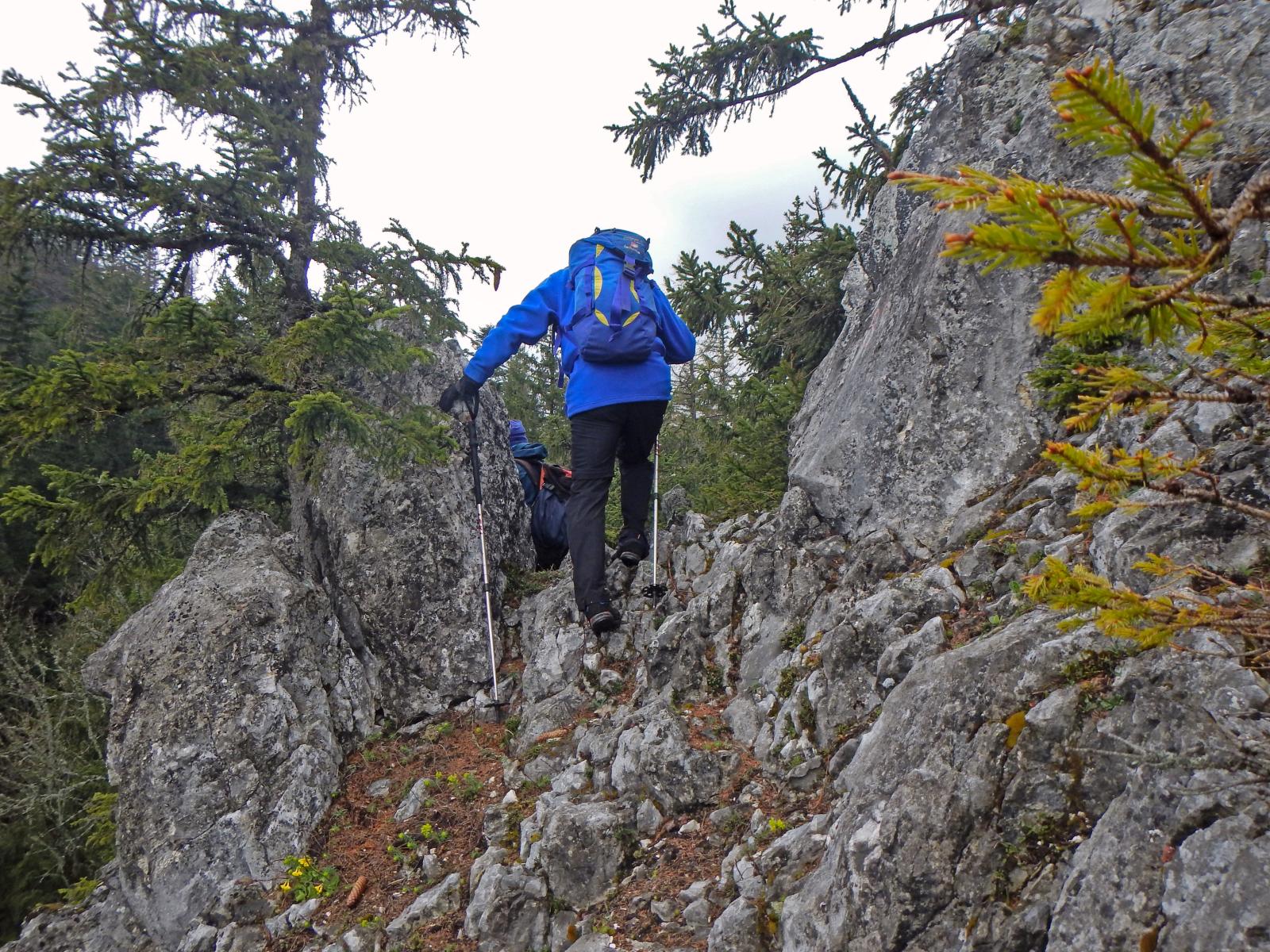 Türnitzer Höger, Tirolerkogel (207 Bildaufrufe)