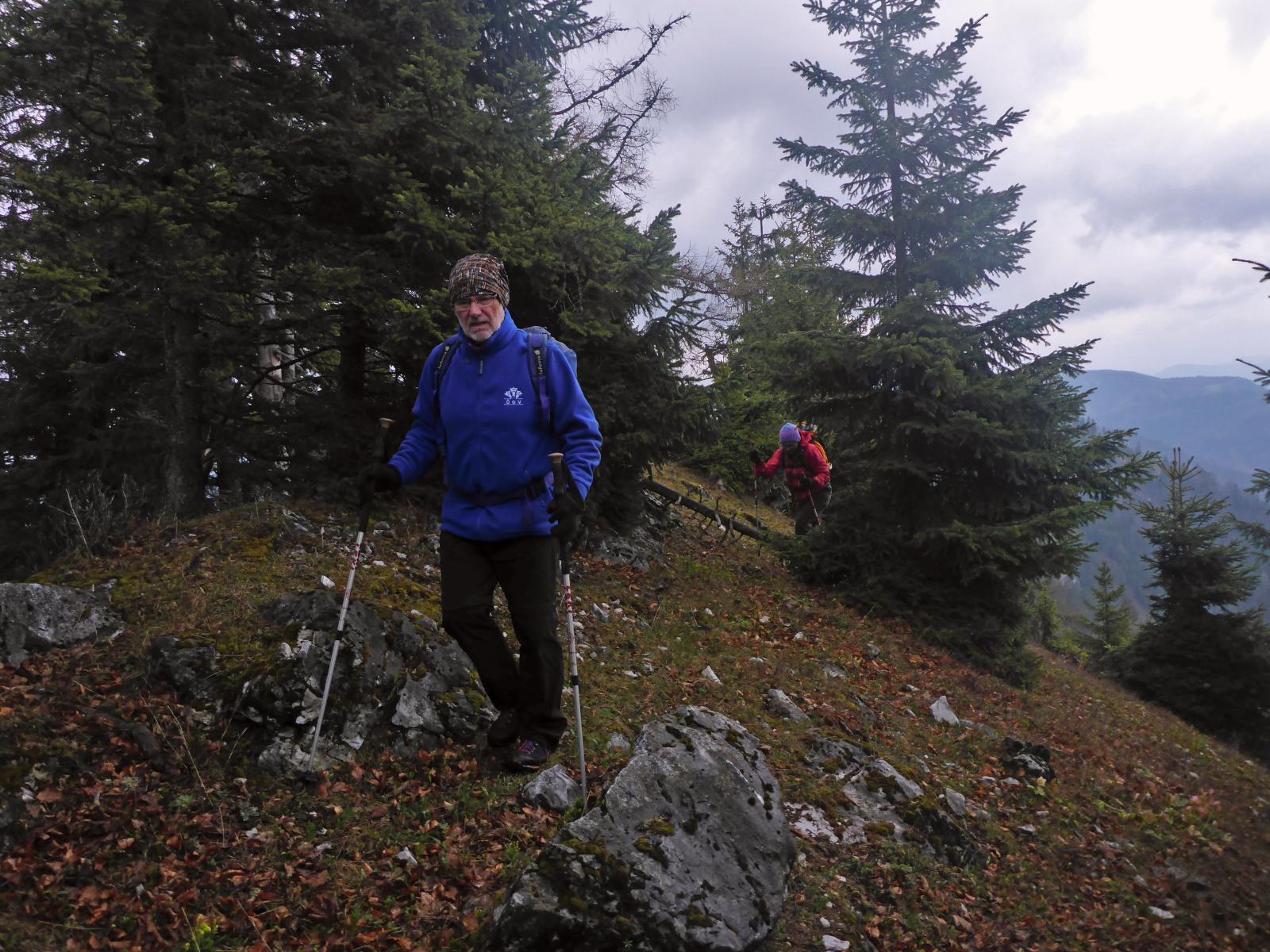 Türnitzer Höger, Tirolerkogel (176 Bildaufrufe)